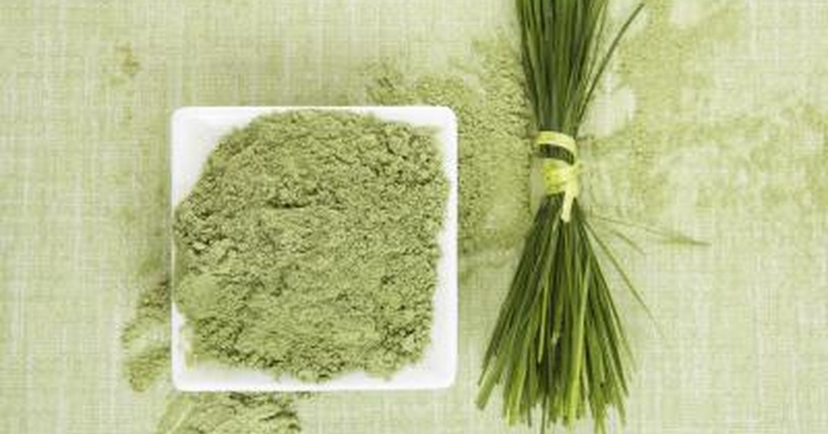 Image result for wheatgrass powder