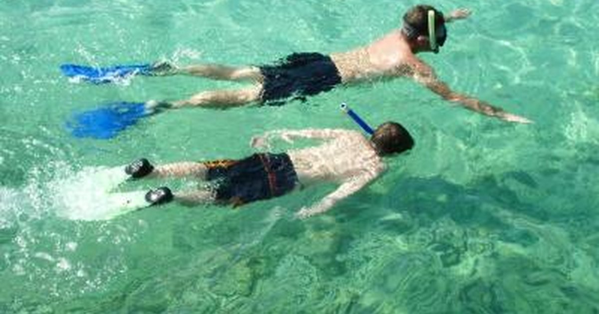 Snorkeling Nearest to St. Pete Beach, Florida | LIVESTRONG.COM