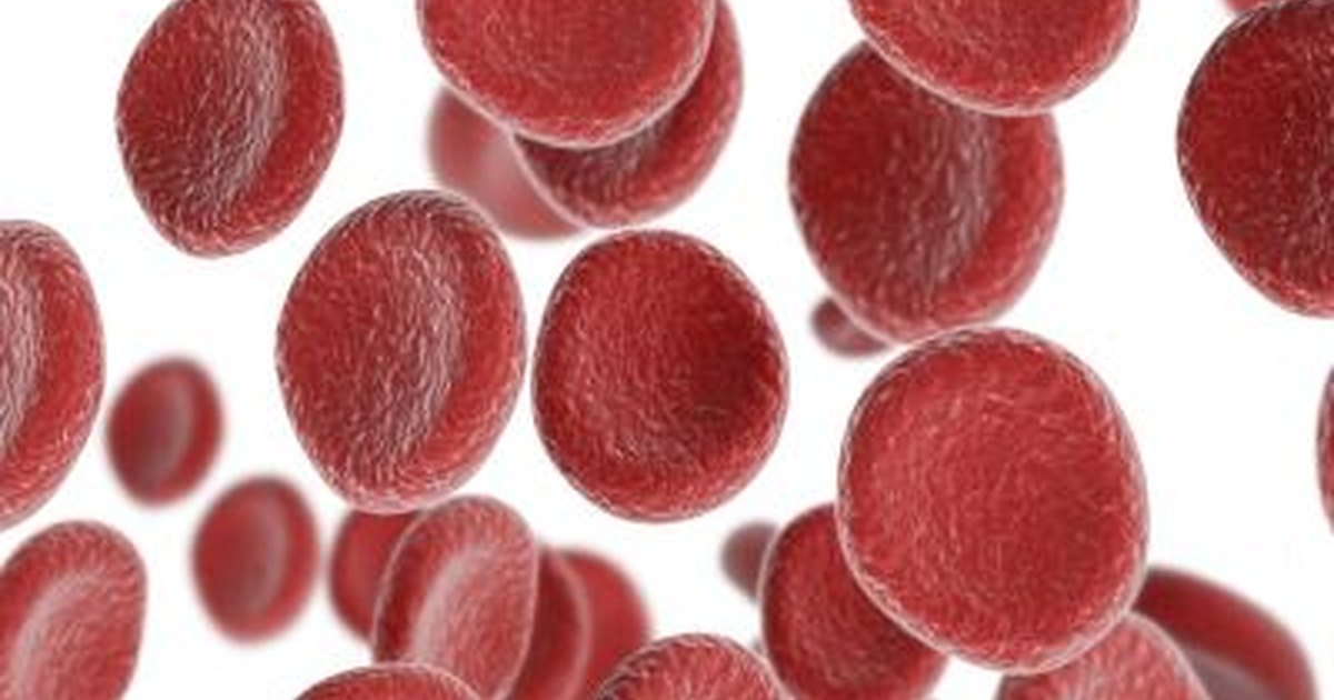 Do Certain Foods Raise Hemoglobin Blood Levels