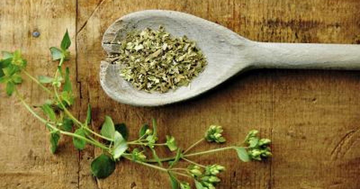 Can you use oil of oregano to treat sinus problems?