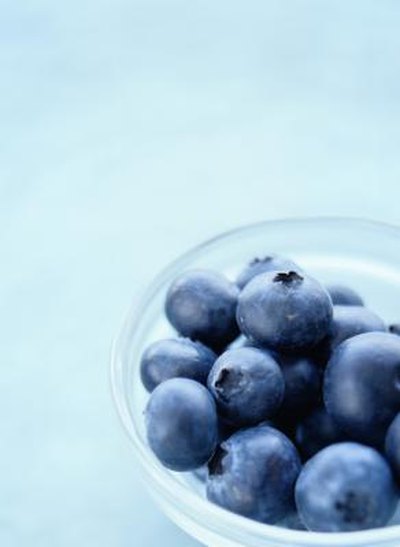 What Are the Benefits of Dried Blueberries?