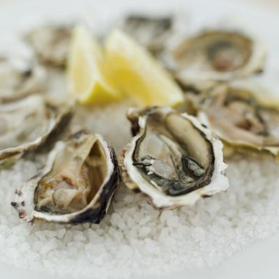 Calories in Fresh Oysters