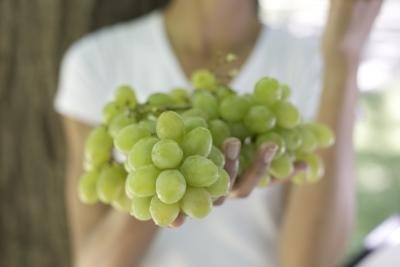 What Vitamins Do Grapes Contain?