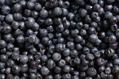 What Are the Benefits of Blueberries for the Skin?