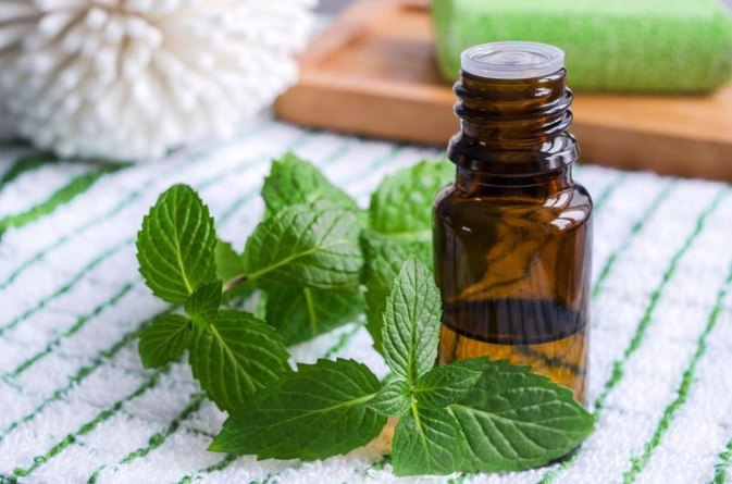 Image result for peppermint oil