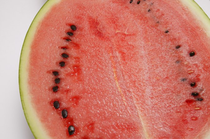 Watermelon Fat 86