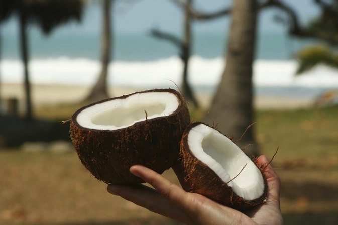 Electrolytes in Coconut Water