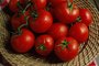 Tomato Intolerance and Digestive Symptoms