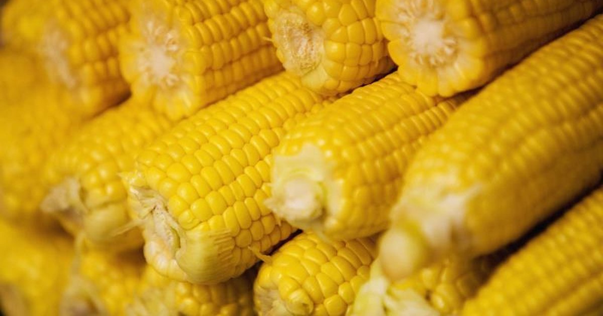 Sweet Corn Nutrition | LIVESTRONG.COM