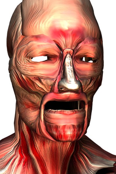 Facial Muscle Exercise 24