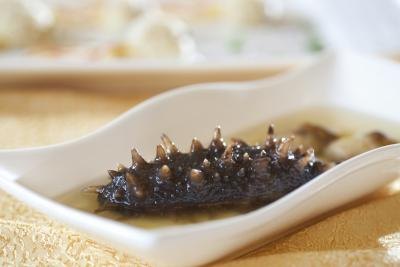 The Benefits of Sea Cucumber