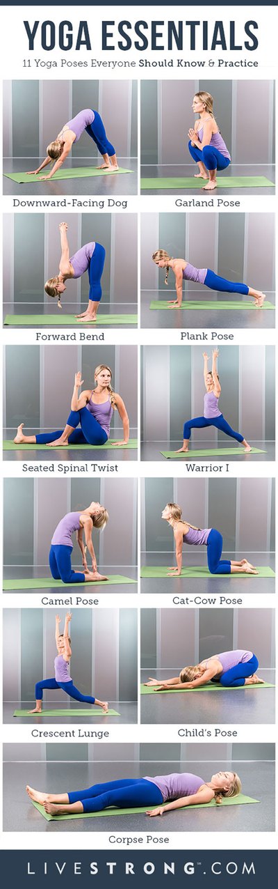 The 11 Must-Know Yoga Poses (INFOGRAPHIC) | LIVESTRONG.COM