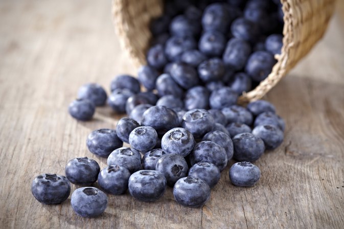 Image result for Blueberry Allergy