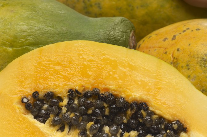 「papaya fermented」の画像検索結果